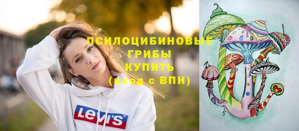 хмурый Богданович