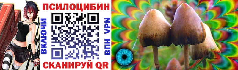 Купить закладки  Нея  Галлюциногенные грибы мицелий 